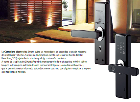 galeria_11.jpg